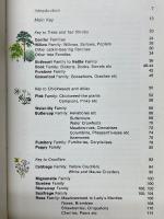 コリンズ　野生植物(花)図典