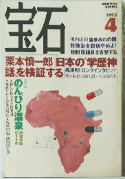 宝石　1993年4月号