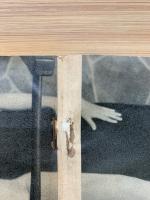 夫婦生活　昭和27年3月号