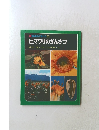 科学のアルバム25 ヒマワリのかんさつ