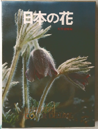 日本の花