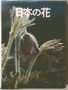 日本の花