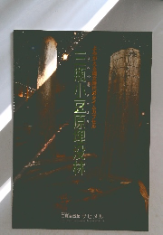 三瓶小豆原埋没林