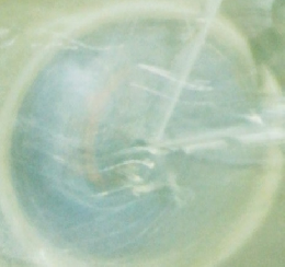 ニューサイクリング　1990年12月　Vol.28No.318