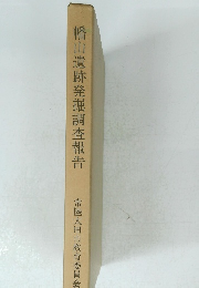 幡山遺跡発掘調査報告