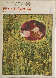 チョウ・ガ 昆虫生態図鑑　1