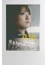 DOCUMENTARY OF AKB48　NO FLOWER WITHOUT RAIN