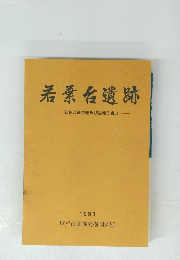 若葉台遺跡　若葉台遺跡発掘調査報告書II　1993