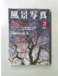 風景写真　2003　3