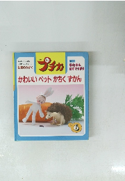 プチカ　1997年6月号