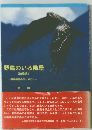 野鳥のいる風景