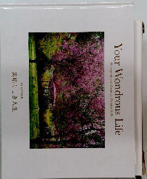 素晴らしき人生　Your Wondrous Life