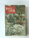 園芸入門花づくり庭の手入れ 12カ月