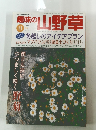 趣味の山野草　1999年11月号　Vol.232