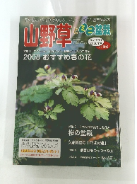 山野草とミニ盆栽　2008年早春号