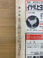 鶏の研究　12