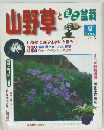 山野草とミニ盆栽　Vol.3　1997年夏号