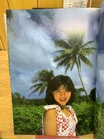 菊池桃子　きみに瞳ボレ