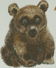 こぐまをびっくりさせたのはだれ？ かがくのとも 7
