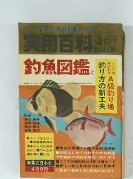 実用百科　1967年7月号　釣魚図鑑