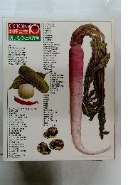 COOK料理全集10 漬けものと保存食