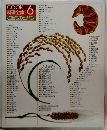 COOK 料理全集 6 ご飯ものとパン