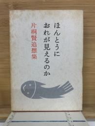 ほんとうにおれが見えるのか　片桐賢追想集