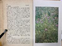 野外植物図譜　上下巻