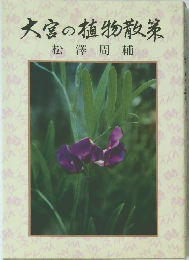 大宮の植物散策