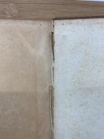 寧楽時代の文化史