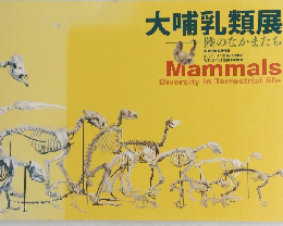 大哺乳類展　陸のなかまたち