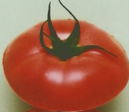 むすび　　2011.8