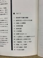 岐阜空襲 : 岐阜・大垣・各務原