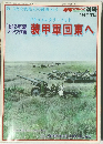 1942年夏 ブラウ作戦 装甲軍団東へ