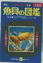 魚貝の図鑑