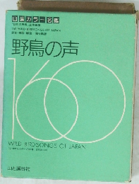 野鳥の声