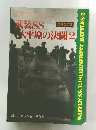 武装SS 大平原の決闘 2  増補改訂版