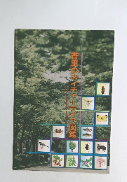 香里のネイチャーライフ図鑑