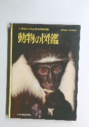 小学館の学習百科図鑑 5動物の図鑑 