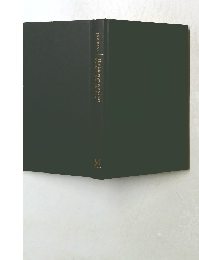 The Emergence of the Modern Middle East