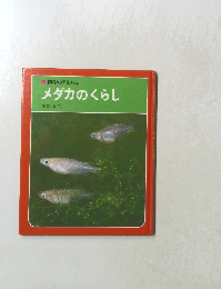 メダカのくらし