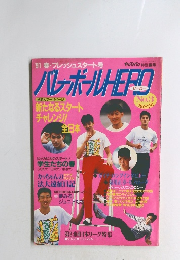 バレーボールHERO　No.3