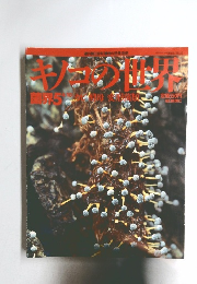 キノコの世界 4/10