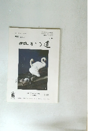 ぬかる道　2013年6月号