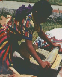 世界の食べもの　週刊 朝日百科　55