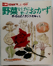 NHKきょうの料理　野菜を上手に使ったおかず　肉・魚とのバランスを考えて