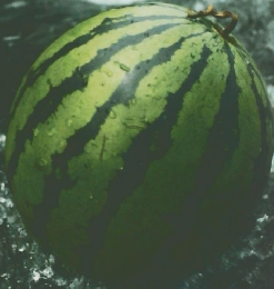 大人組　　Kansai 8月号