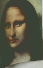 モナ・リザの本 MONA LISAS