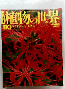 植物の世界　110　6/2　ヒアシンス スイセン