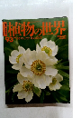 植物の世界　１９９３年2月号